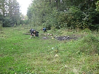 IMG_0119.jpg