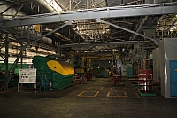 IMG_9595.jpg