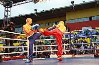 IMG_3664.jpg
