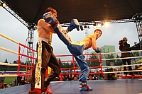 IMG_3754.jpg