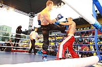 IMG_3944.jpg