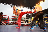 IMG_3945.jpg
