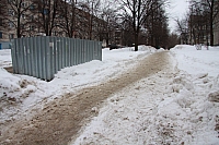 IMG_7106.jpg