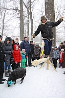 IMG_2866.jpg