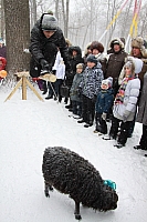 IMG_2911.jpg