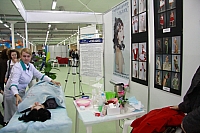 IMG_9984.jpg
