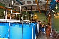 IMG_7191.jpg