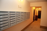 IMG_4141.jpg