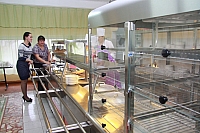 IMG_2490.jpg