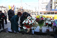 IMG_9563.jpg