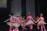 DSC02358.jpg