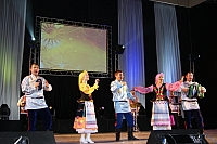 DSC02377.jpg