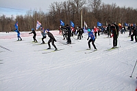 IMG_2648.jpg