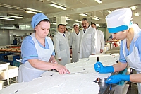 IMG_2913.jpg