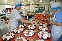 IMG_2921.jpg