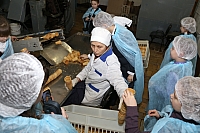 IMG_1730.jpg