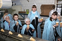 IMG_1846.jpg