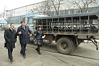 IMG_1884.jpg
