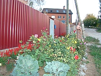 DSC04372.jpg