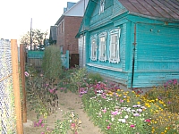 DSC04383.jpg
