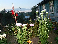 DSC04385.jpg