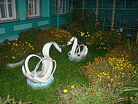 DSC04393.jpg