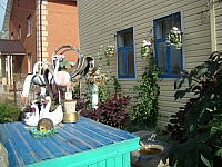 DSC04439.jpg