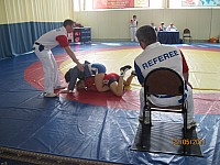 11.jpg
