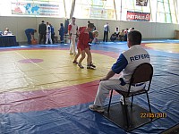 13.jpg