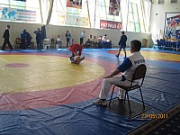 15.jpg