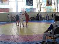 17.jpg
