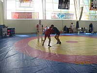 31.jpg