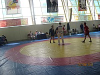 41.jpg