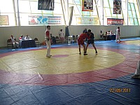 43.jpg