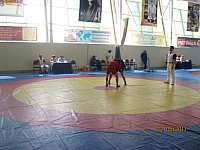 44.jpg