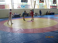 46.jpg