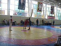49.jpg