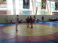 53.jpg