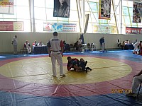 54.jpg