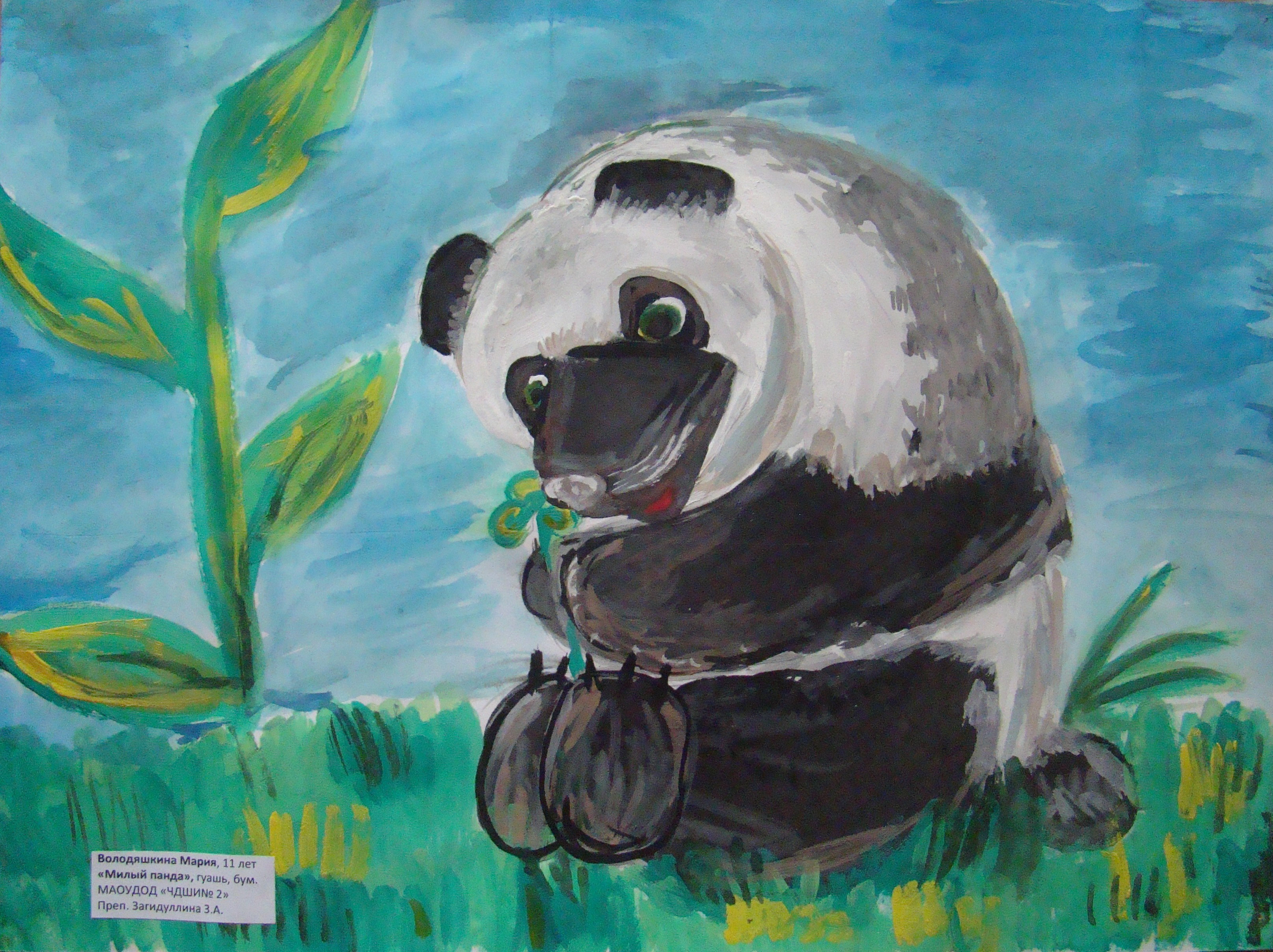 Панда рисунок гуашью