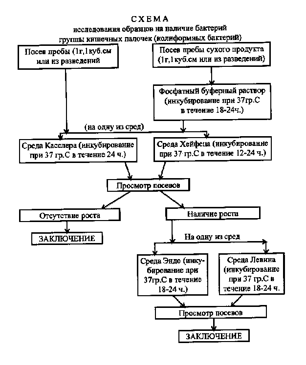 Бактериологические исследования