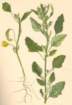 photo2_small.jpg