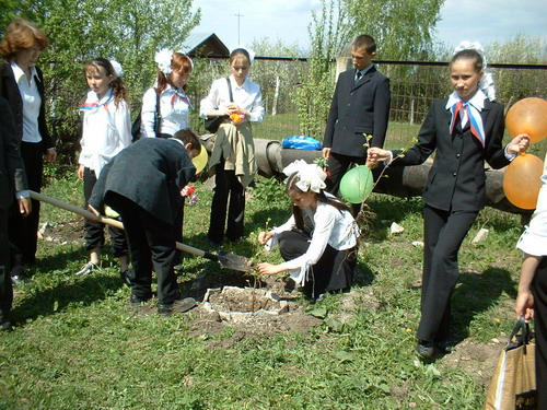 DSCF0021.JPG