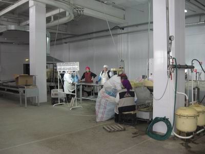 p0091.jpg