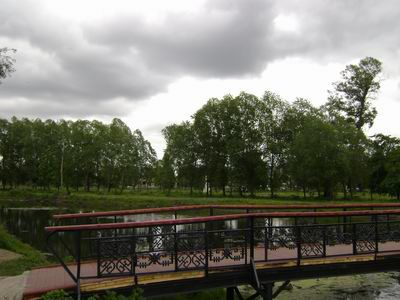 z74831.jpg