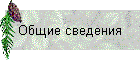 Общие сведения