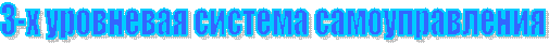 3-х уровневая система самоуправления