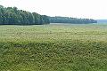 DSC00066