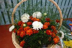 DSC00044
