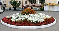 3-004.jpg